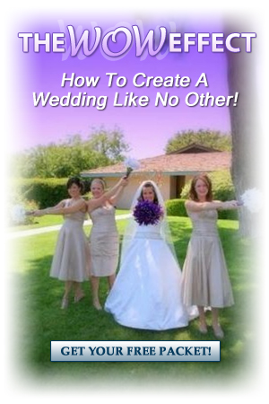 Sacramento Wedding DJ Free Planning Packet